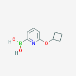 CAS 1310404-90-0 molecular structure