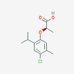 CAS 53548-23-5 molecular structure